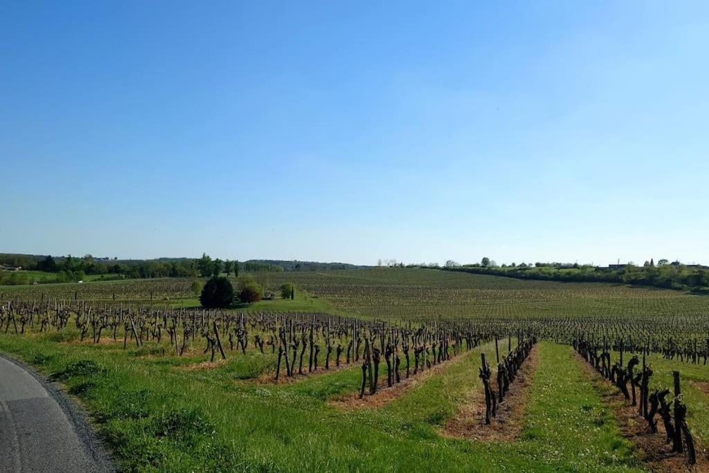 Entre Pierre Et Vigne - Charming Former Winery Farmhouse With Hot Tub & Swimming Pool Monestier  エクステリア 写真