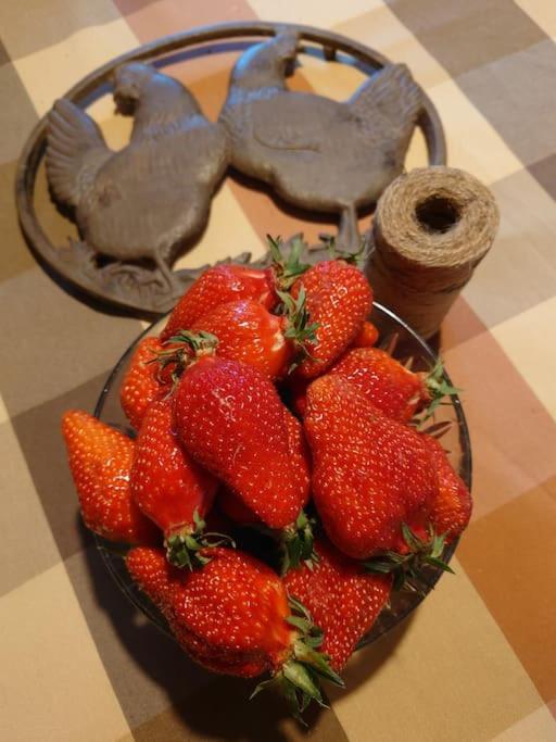 Entre Pierre Et Vigne - Charming Former Winery Farmhouse With Hot Tub & Swimming Pool Monestier  エクステリア 写真